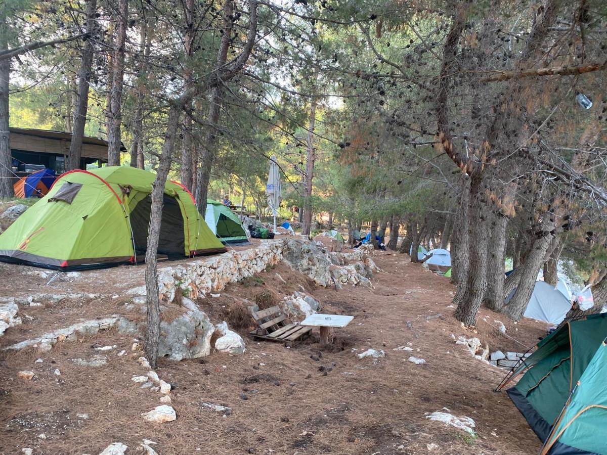 Pine Side Camp Hotel Himarë Eksteriør billede